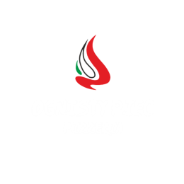 logo ognisty piec przeźroczyste